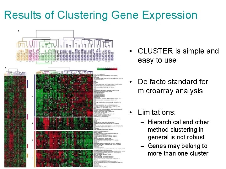 Results of Clustering Gene Expression • CLUSTER is simple and easy to use • Results of Clustering Gene Expression • CLUSTER is simple and easy to use •