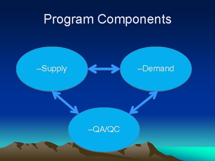 Program Components –Supply –Demand –QA/QC 