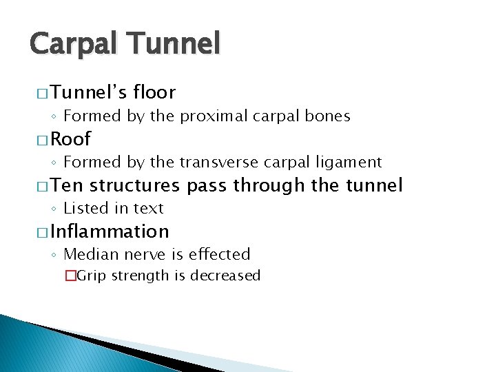 Carpal Tunnel � Tunnel’s floor ◦ Formed by the proximal carpal bones � Roof