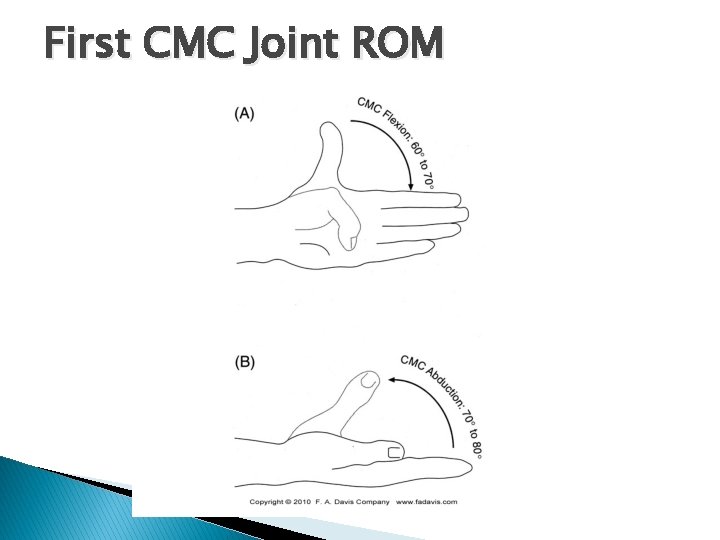 First CMC Joint ROM 