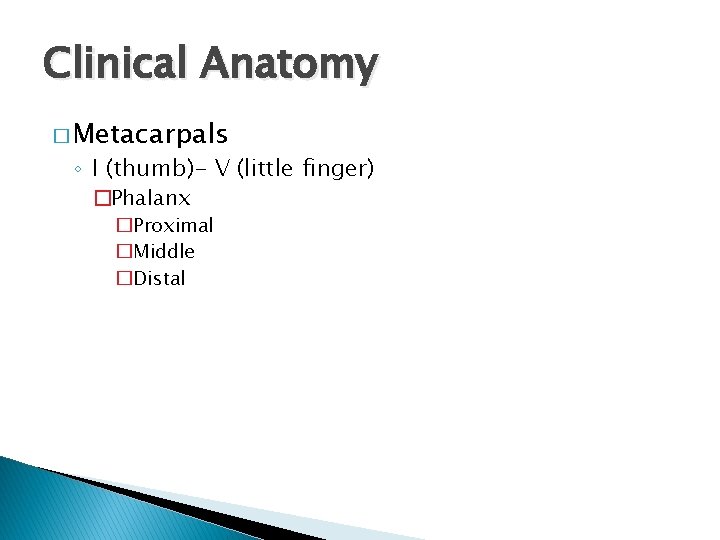 Clinical Anatomy � Metacarpals ◦ I (thumb)- V (little finger) �Phalanx �Proximal �Middle �Distal