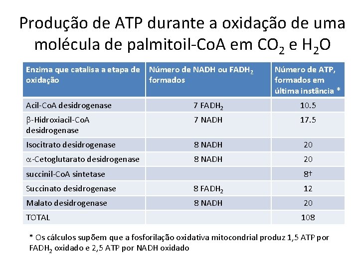 Produção de ATP durante a oxidação de uma molécula de palmitoil-Co. A em CO