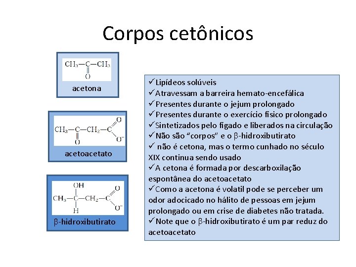 Corpos cetônicos acetona acetoacetato b-hidroxibutirato üLipídeos solúveis üAtravessam a barreira hemato-encefálica üPresentes durante o
