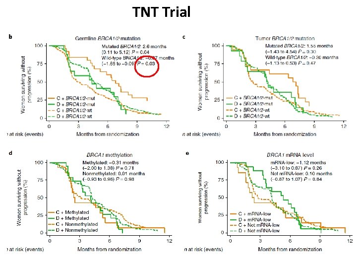 TNT Trial 