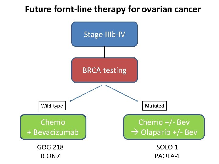 Future fornt-line therapy for ovarian cancer Stage IIIb-IV BRCA testing Wild-type Chemo + Bevacizumab