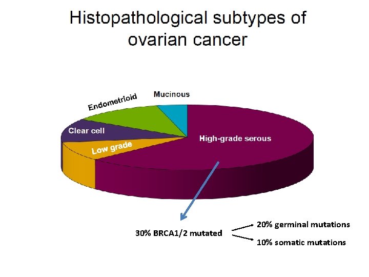 30% BRCA 1/2 mutated 20% germinal mutations 10% somatic mutations 