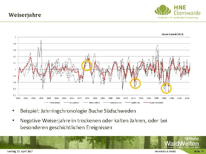 Weiserjahre (Nach Schmidt 2013) • Beispiel: Jahrringchronologie Buche Südschweden • Negative Weiserjahre in trockenen