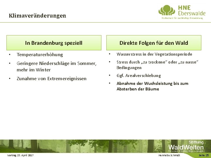 Klimaveränderungen In Brandenburg speziell Direkte Folgen für den Wald • Temperaturerhöhung • Wasserstress in