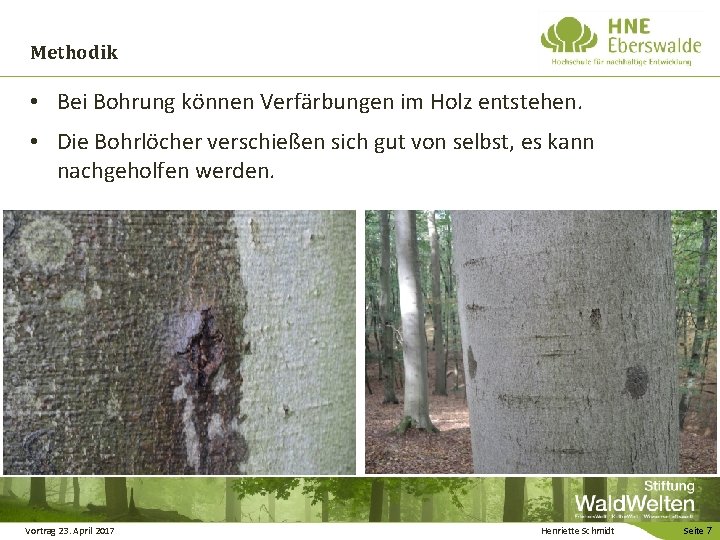 Methodik • Bei Bohrung können Verfärbungen im Holz entstehen. • Die Bohrlöcher verschießen sich