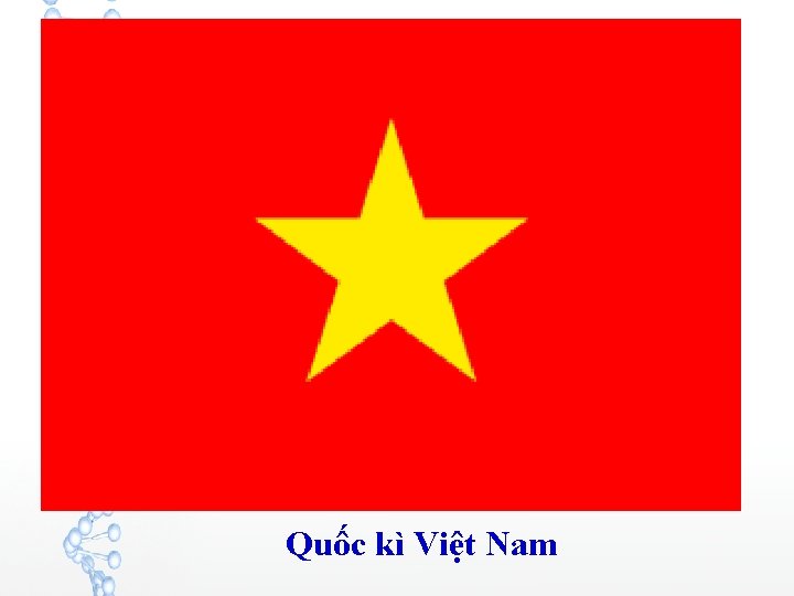 Quốc kì Việt Nam 