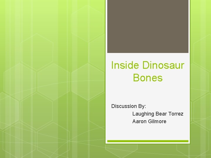 Inside Dinosaur Bones Discussion By: Laughing Bear Torrez Aaron Gilmore 