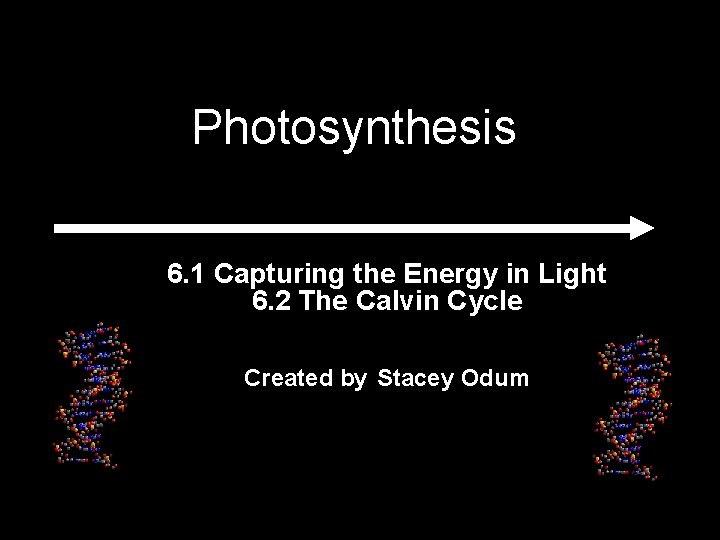 Photosynthesis 6. 1 Capturing the Energy in Light 6. 2 The Calvin Cycle Created