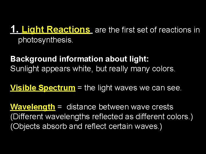 The Photosynthesis Reactions: 1. Light Reactions are the first set of reactions in photosynthesis.