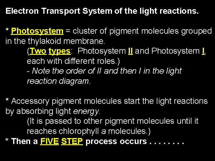 Electron Transport System of the light reactions. * Photosystem = cluster of pigment molecules