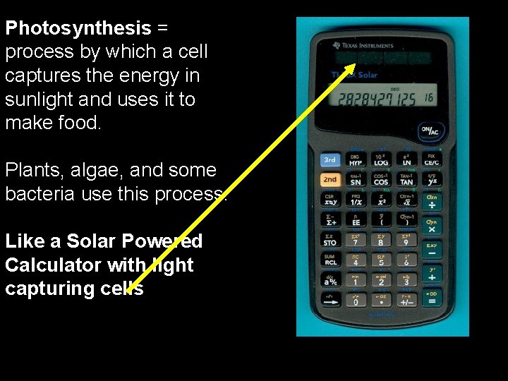 Photosynthesis = process by which a cell captures the energy in sunlight and uses