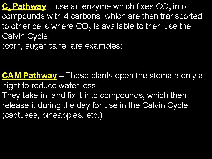 C 4 Pathway – use an enzyme which fixes CO 2 into compounds with