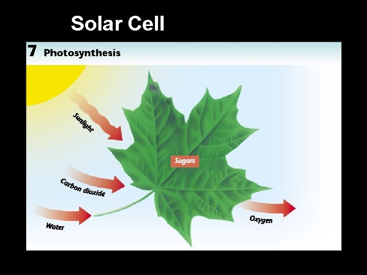 Solar Cell 