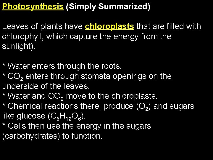 Photosynthesis (Simply Summarized) Leaves of plants have chloroplasts that are filled with chlorophyll, which