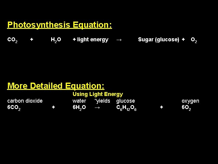 Photosynthesis Equation: CO 2 + H 2 O + light energy → Sugar (glucose)