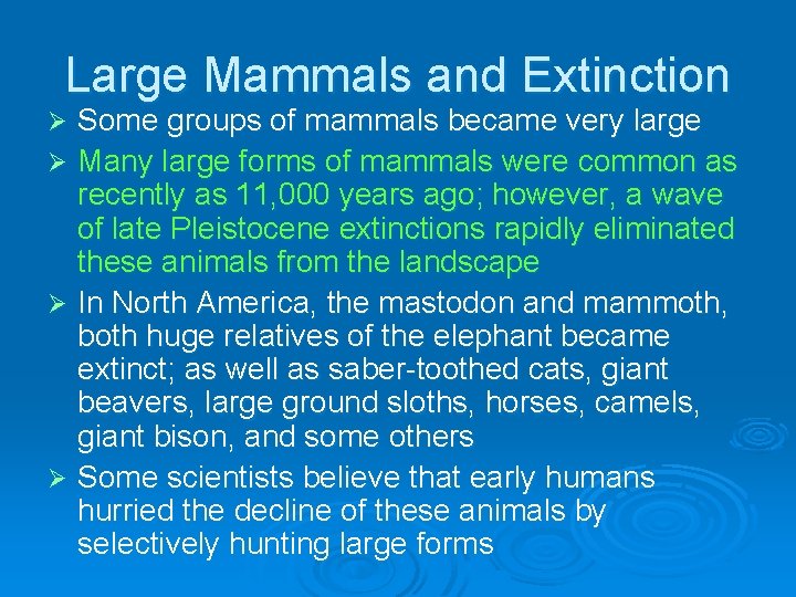 Large Mammals and Extinction Some groups of mammals became very large Ø Many large