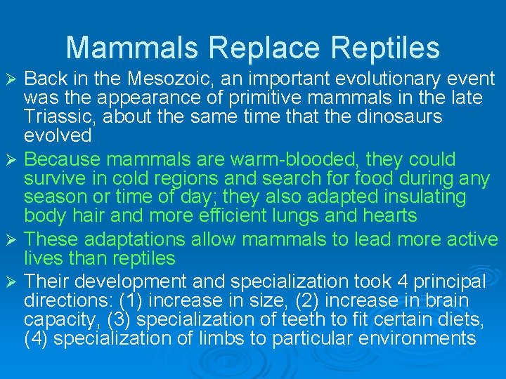 Mammals Replace Reptiles Back in the Mesozoic, an important evolutionary event was the appearance