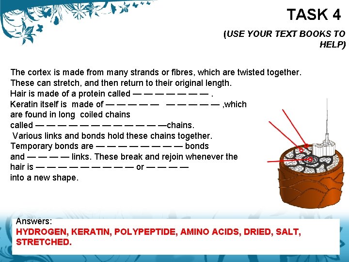 TASK 4 (USE YOUR TEXT BOOKS TO HELP) The cortex is made from many