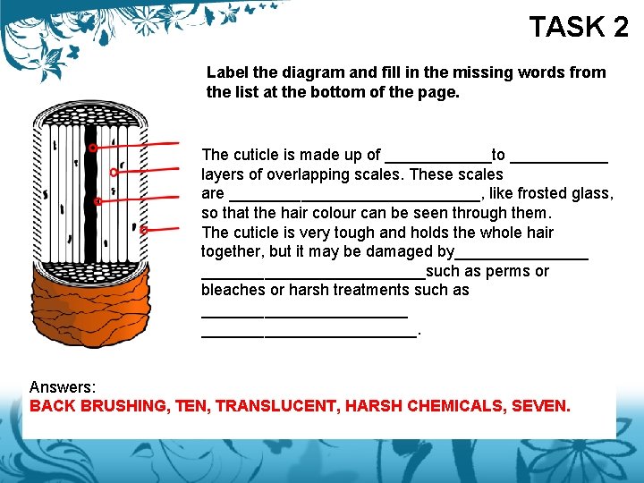 TASK 2 Label the diagram and fill in the missing words from the list