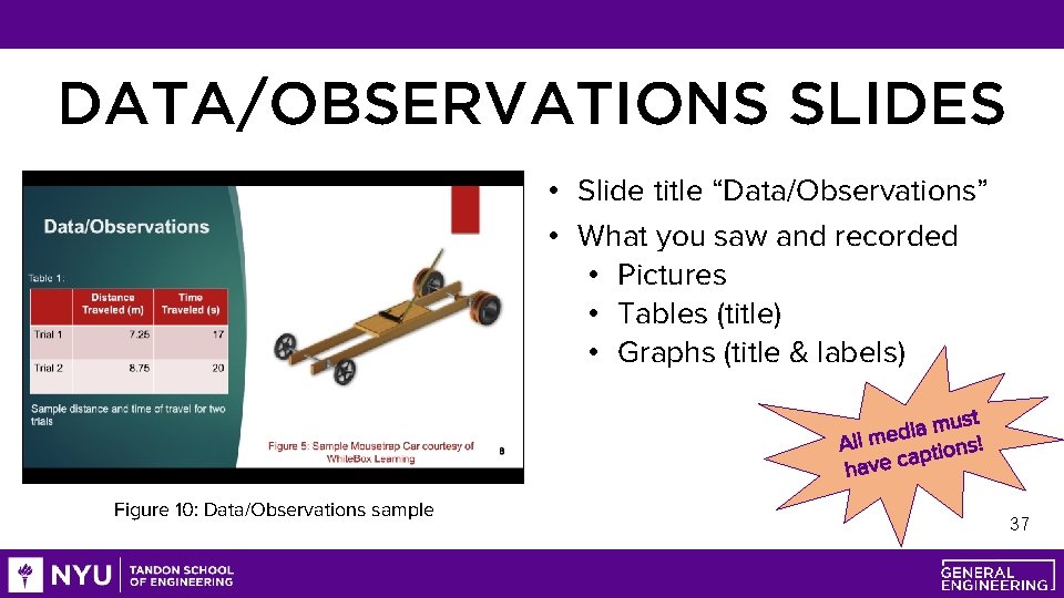 DATA/OBSERVATIONS SLIDES • Slide title “Data/Observations” • What you saw and recorded • Pictures