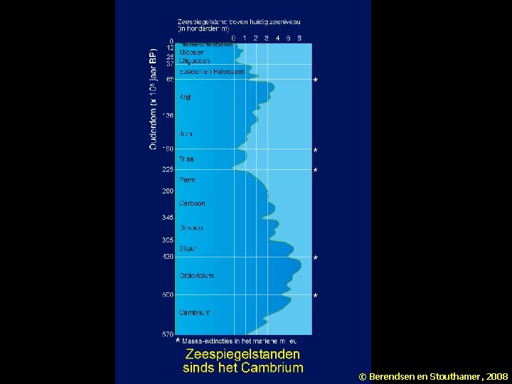 © Berendsen en Stouthamer, 2008 