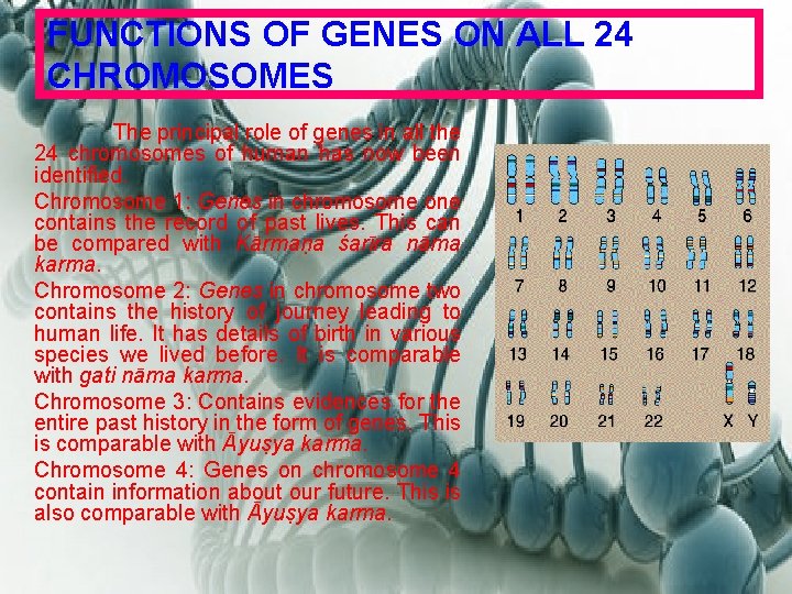 FUNCTIONS OF GENES ON ALL 24 CHROMOSOMES The principal role of genes in all