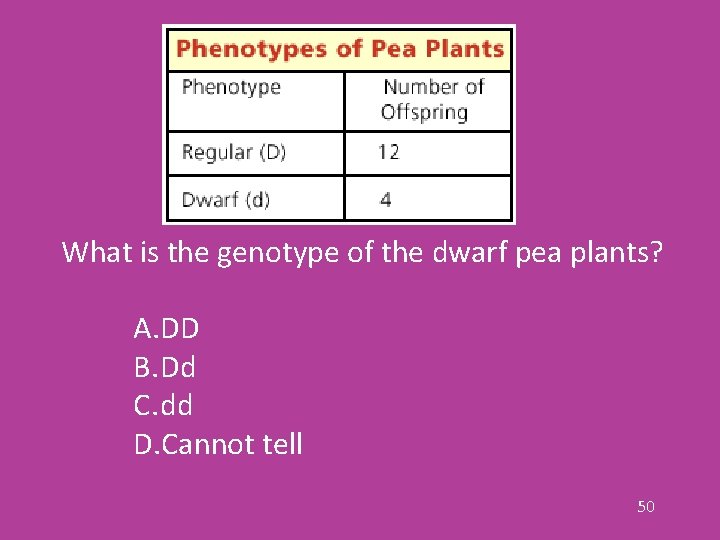 What is the genotype of the dwarf pea plants? A. DD B. Dd C.