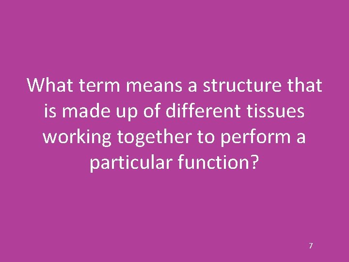 What term means a structure that is made up of different tissues working together