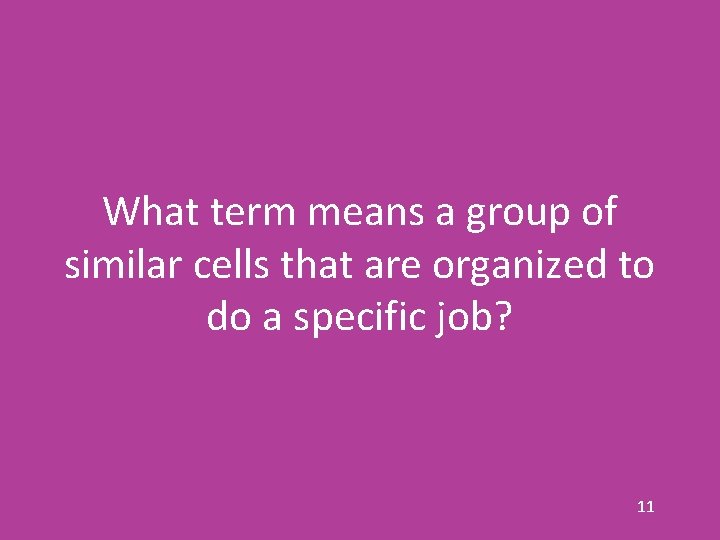 What term means a group of similar cells that are organized to do a