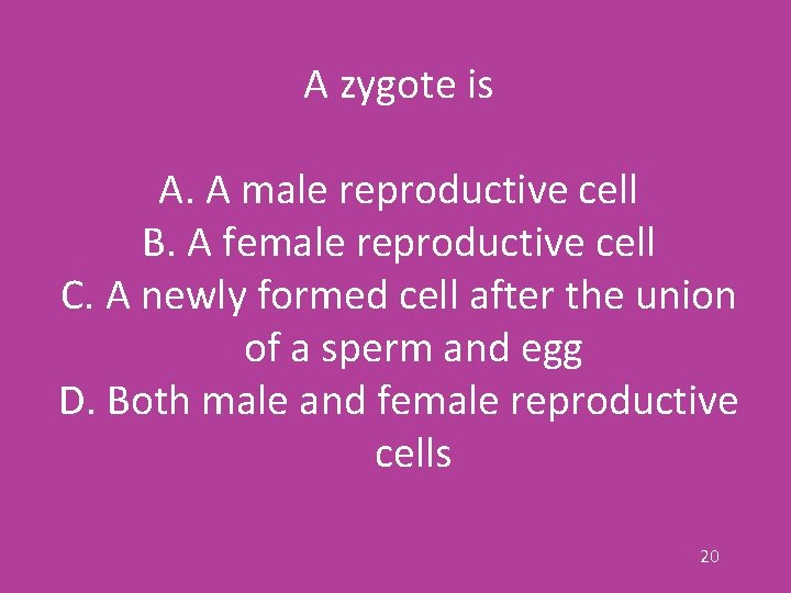 A zygote is A. A male reproductive cell B. A female reproductive cell C.