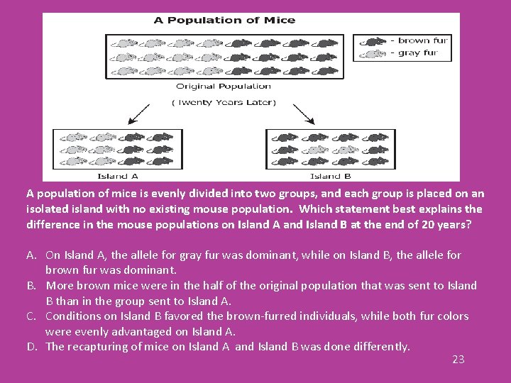 A population of mice is evenly divided into two groups, and each group is