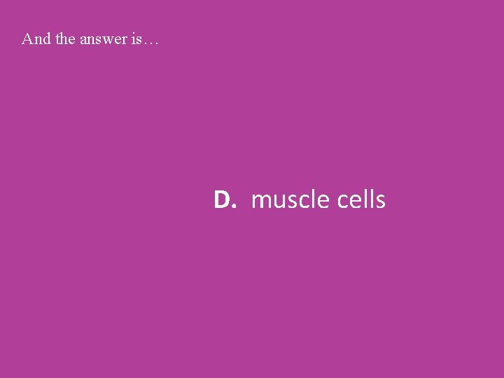 And the answer is… D. muscle cells 