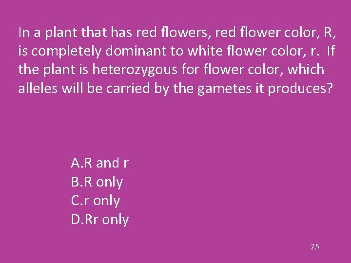 In a plant that has red flowers, red flower color, R, is completely dominant