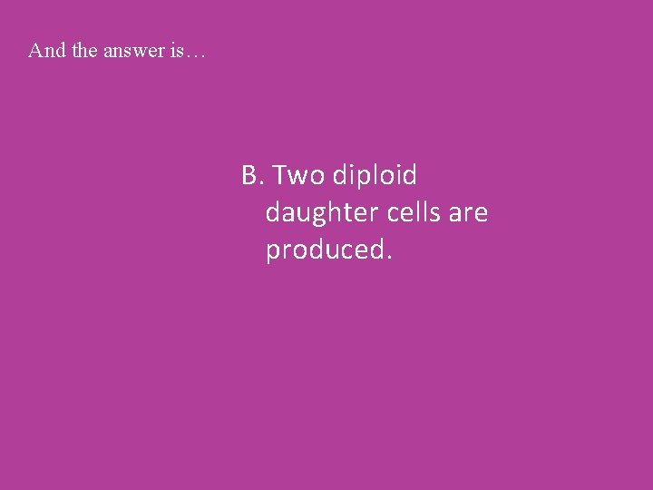 And the answer is… B. Two diploid daughter cells are produced. 