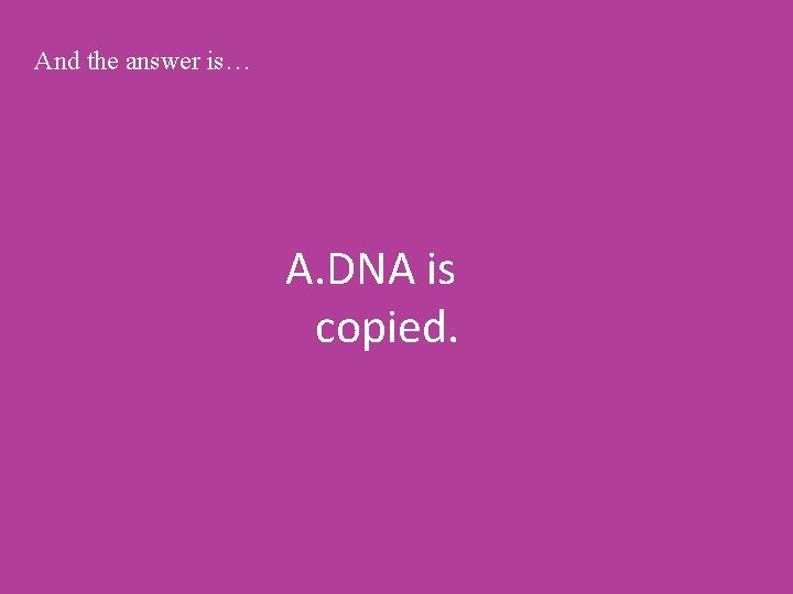 And the answer is… A. DNA is copied. 