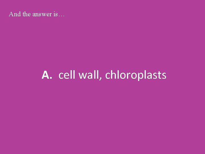 And the answer is… A. cell wall, chloroplasts 