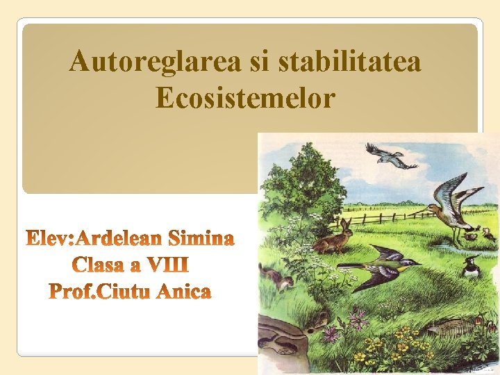 Autoreglarea si stabilitatea Ecosistemelor 