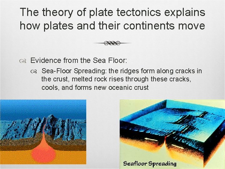 The theory of plate tectonics explains how plates and their continents move Evidence from