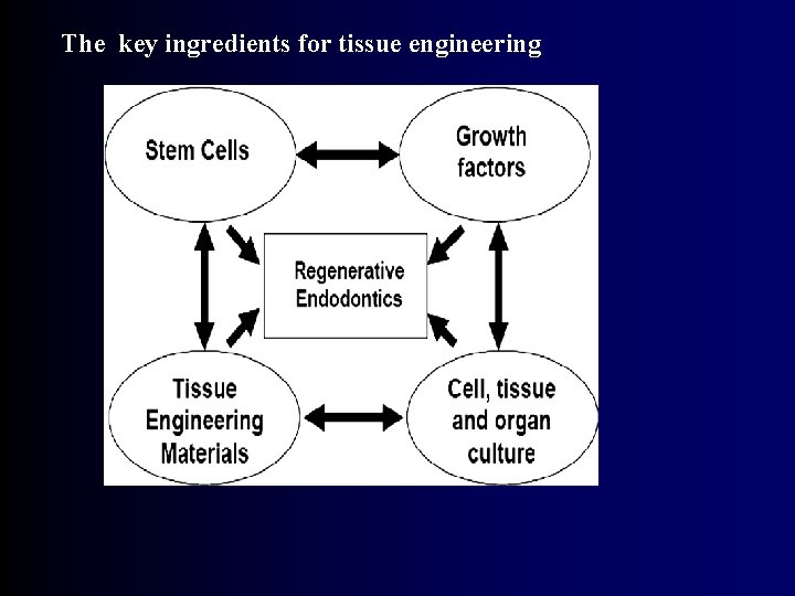 The key ingredients for tissue engineering 