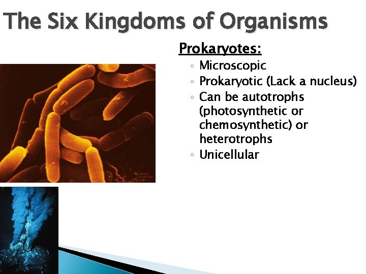 The Six Kingdoms of Organisms Prokaryotes: ◦ Microscopic ◦ Prokaryotic (Lack a nucleus) ◦