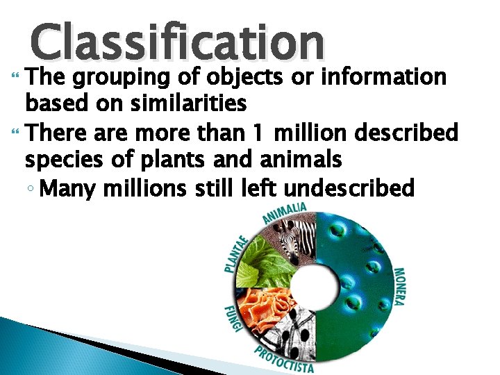 Classification The grouping of objects or information based on similarities There are more than