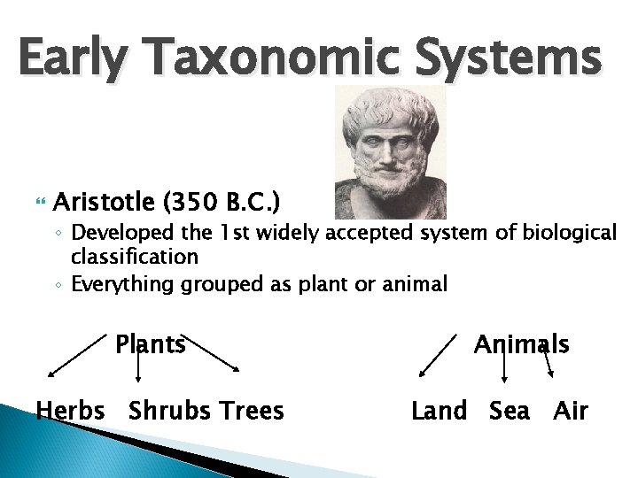 Early Taxonomic Systems Aristotle (350 B. C. ) ◦ Developed the 1 st widely