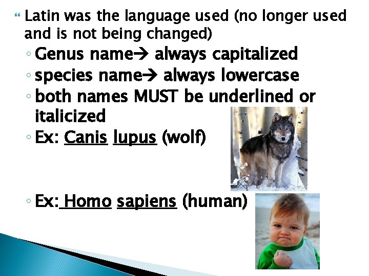  Latin was the language used (no longer used and is not being changed)