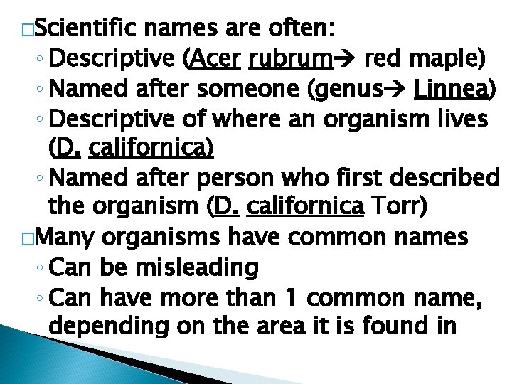 �Scientific names are often: ◦ Descriptive (Acer rubrum red maple) ◦ Named after someone