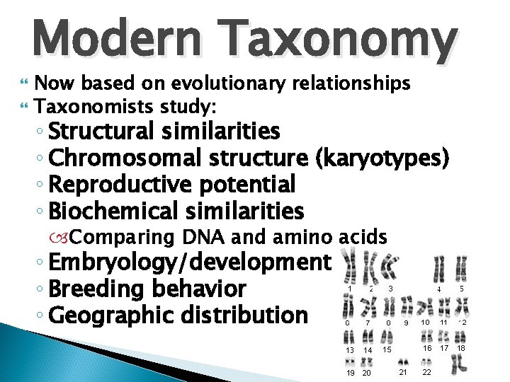  Modern Taxonomy Now based on evolutionary relationships Taxonomists study: ◦ Structural similarities ◦