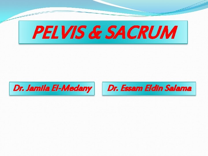 PELVIS & SACRUM Dr. Jamila El-Medany Dr. Essam Eldin Salama PELVIS & SACRUM Dr. Jamila El-Medany Dr. Essam Eldin Salama